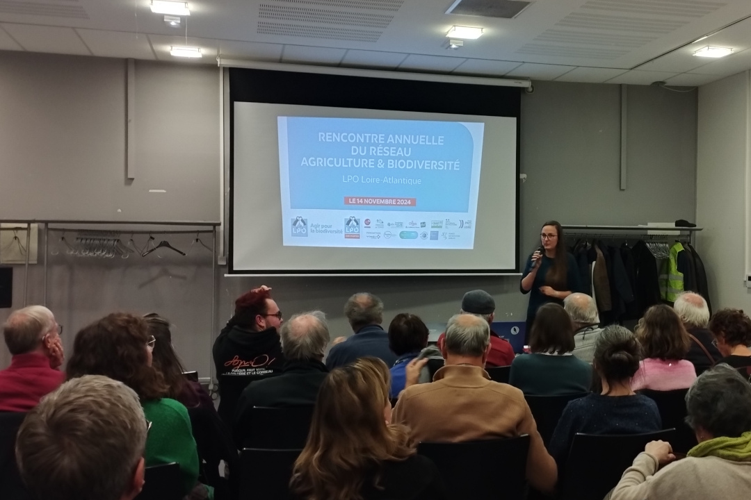 Rencontre annuelle du réseau Agriculture & biodiversité